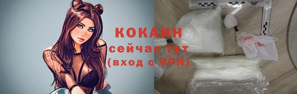 индика Абаза