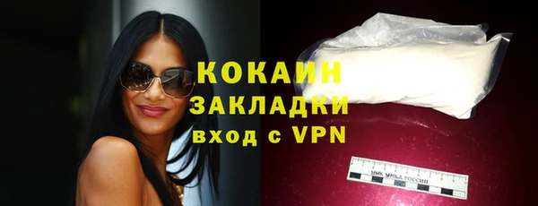 индика Абаза