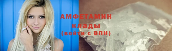 индика Абаза
