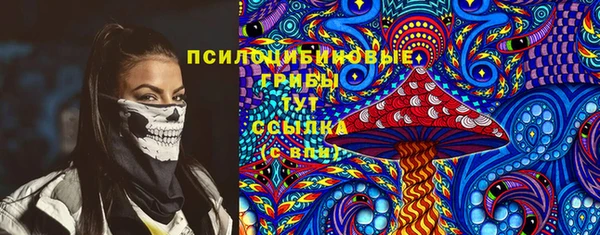 хмурый Абинск