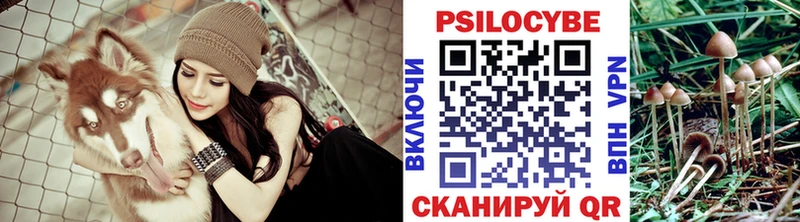 Галлюциногенные грибы Psilocybe  Костомукша 